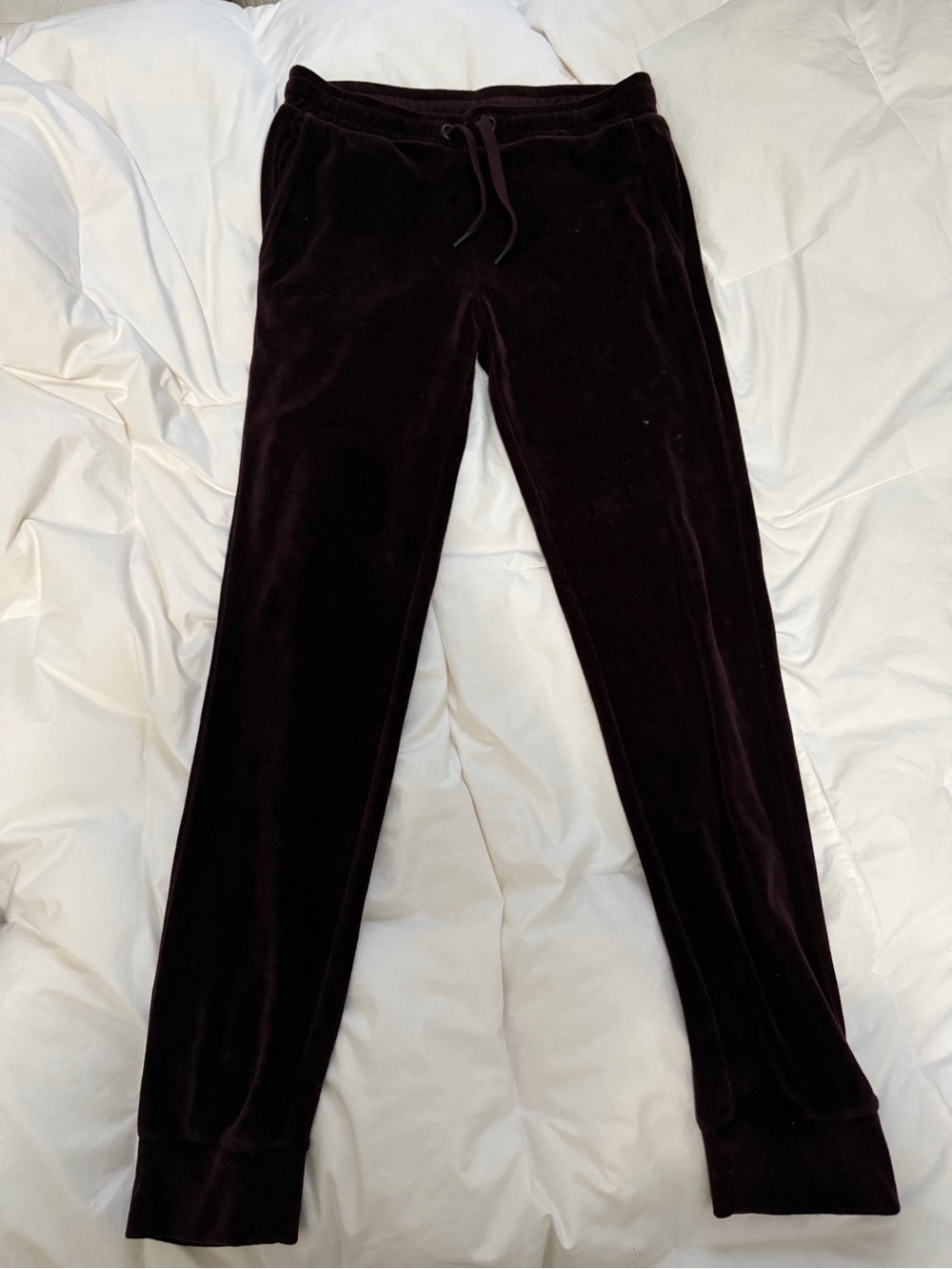 Men's Velvet Jogger Sweatpants in Deep Burgundy